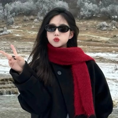 智叻狗仔队